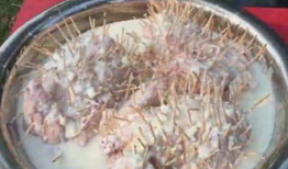 插鸡视频,揭秘趣味互动背后的科技魅力